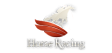 horse_racing