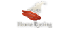 Horse Racing